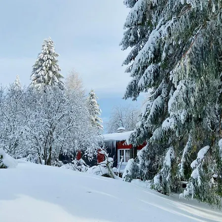 Baude Am Rennsteig Mit 2 Schlafzimmern Max 12 Personen Tatil Evi *