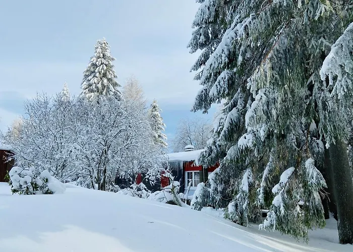 Baude Am Rennsteig Mit 2 Schlafzimmern Max 12 Personen Tatil Evi *