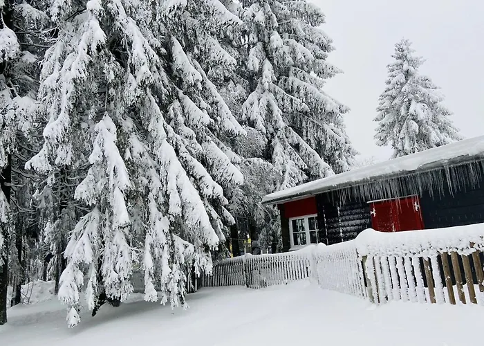 Baude Am Rennsteig Mit 2 Schlafzimmern Max 12 Personen Tatil Evi
